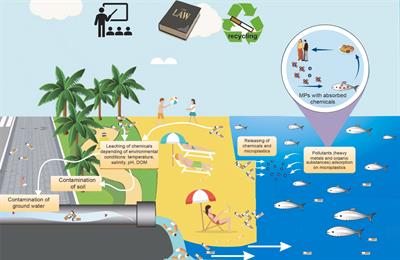 The unignorable ecological impact of cigarette butts in the ocean: an underestimated and under-researched concern